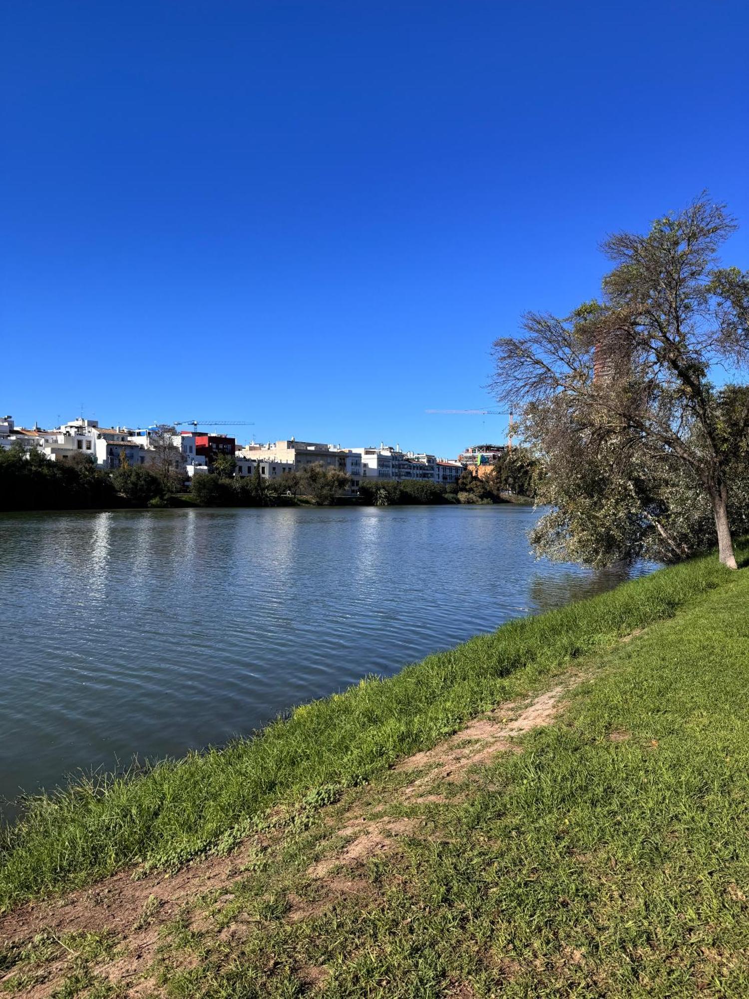 Luca Oliva Homes Riverside Studio Sevilla Exteriör bild